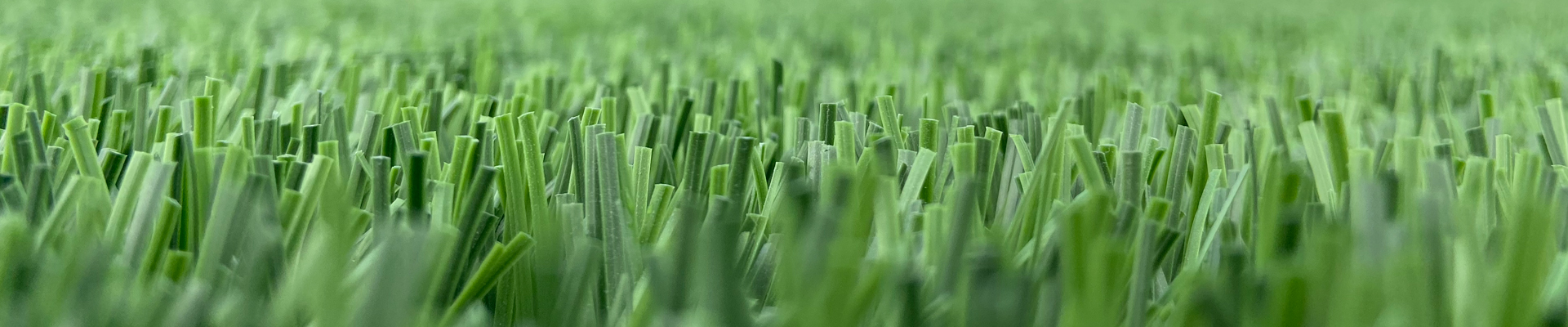 immagine econext erba sintetica ecologica