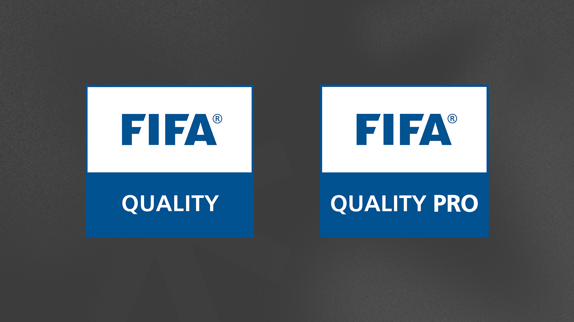 immagine certificazioni fifa